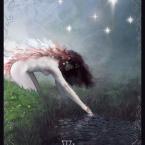 Tarot Custom Playing Card - The Star