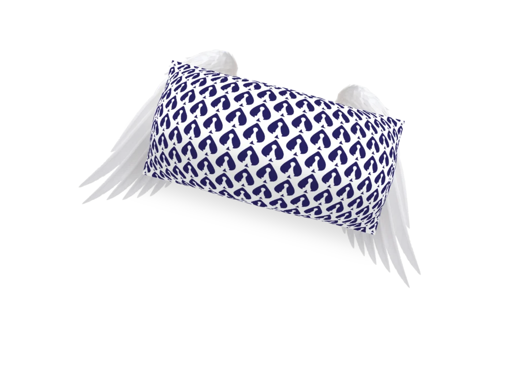 A pillow with wings