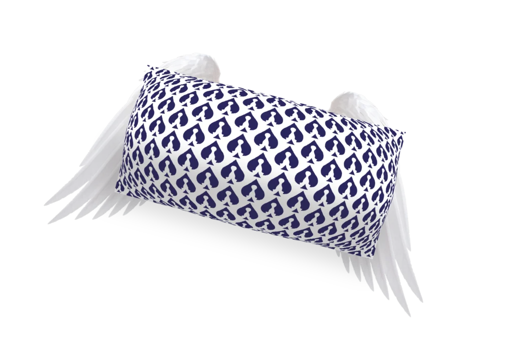 A pillow with wings