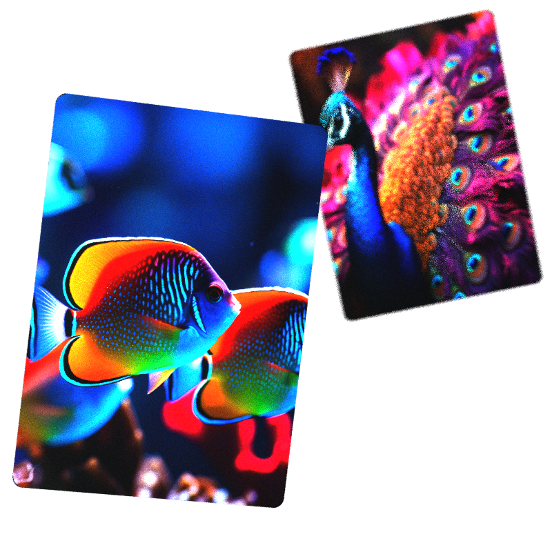 Colorful fish and a peacock-- two examples of full color and photo custom playing cards manufactured by Ad Magic.